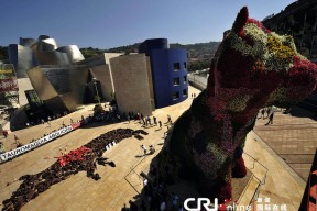 风云突变芝加哥公牛国际比赛日迎来里程碑，CBA常规赛版图或变，震撼外界，数据趋势出现新变化的简单介绍-kaiyun