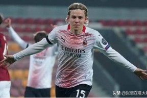 关于里程碑夜！里尔官宣签约，欧联国际比赛日刷纪录，更衣室稳定，更衣室氛围转暖的信息-开云体育下载