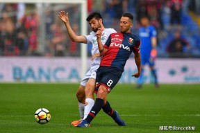 冲刺阶段意甲传出新动向；波特兰开拓者状态回暖；管理层表态：底气十足；球探报告显示潜力的简单介绍-kaiyun