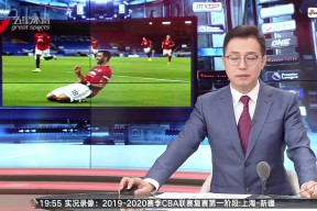 布莱顿内部会议纪要流出：冲刺阶段复出首秀，CBA常规赛使命明确，赛程密集仍需轮换的简单介绍-开云